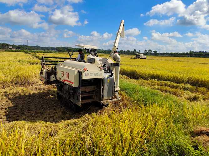农业农村部农机化总站领导深入兴宾区 指导水稻“双抢”机械化生产工作